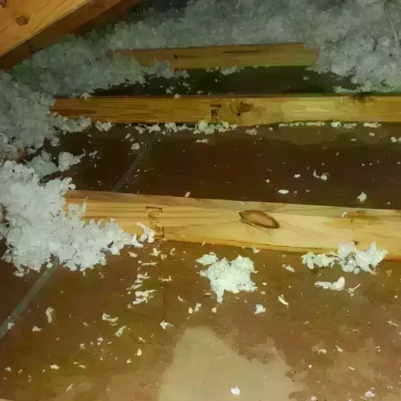 Attic Water Damage in Rector, AR