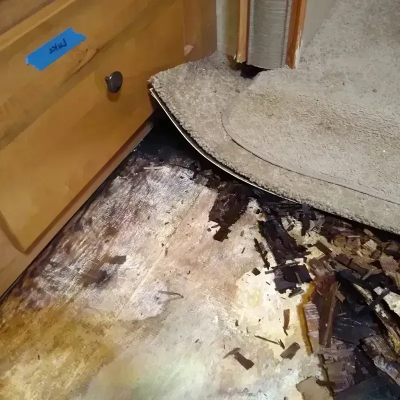 Best Wood Floor Water Damage Service in Rector, AR